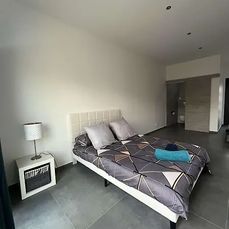 Complete Piscine 120m2 4 Lit 4chambre Ле-Турет